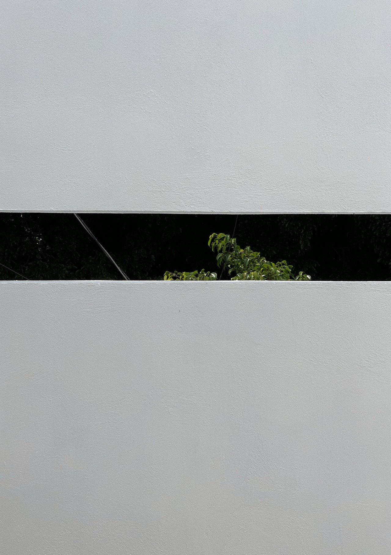 Muro blanco con un vano horizontal y vegetación detrás. Casa RC.